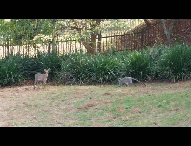 4 BEDROOM HOUSE TO LET IN SIMBITHI ECO ESTATE